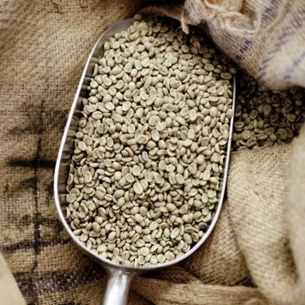 Coffee/ሲዳሞ
