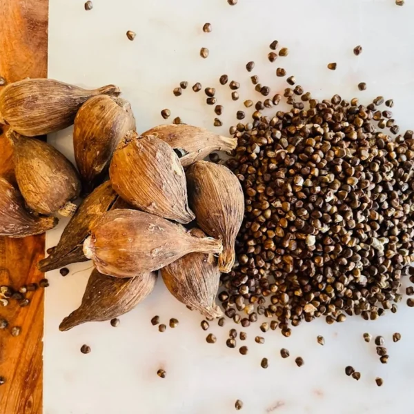 Korerima – Cardamom